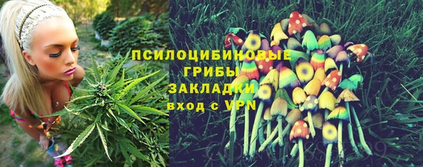 jwh Касимов